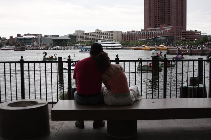 Harbor Lovers