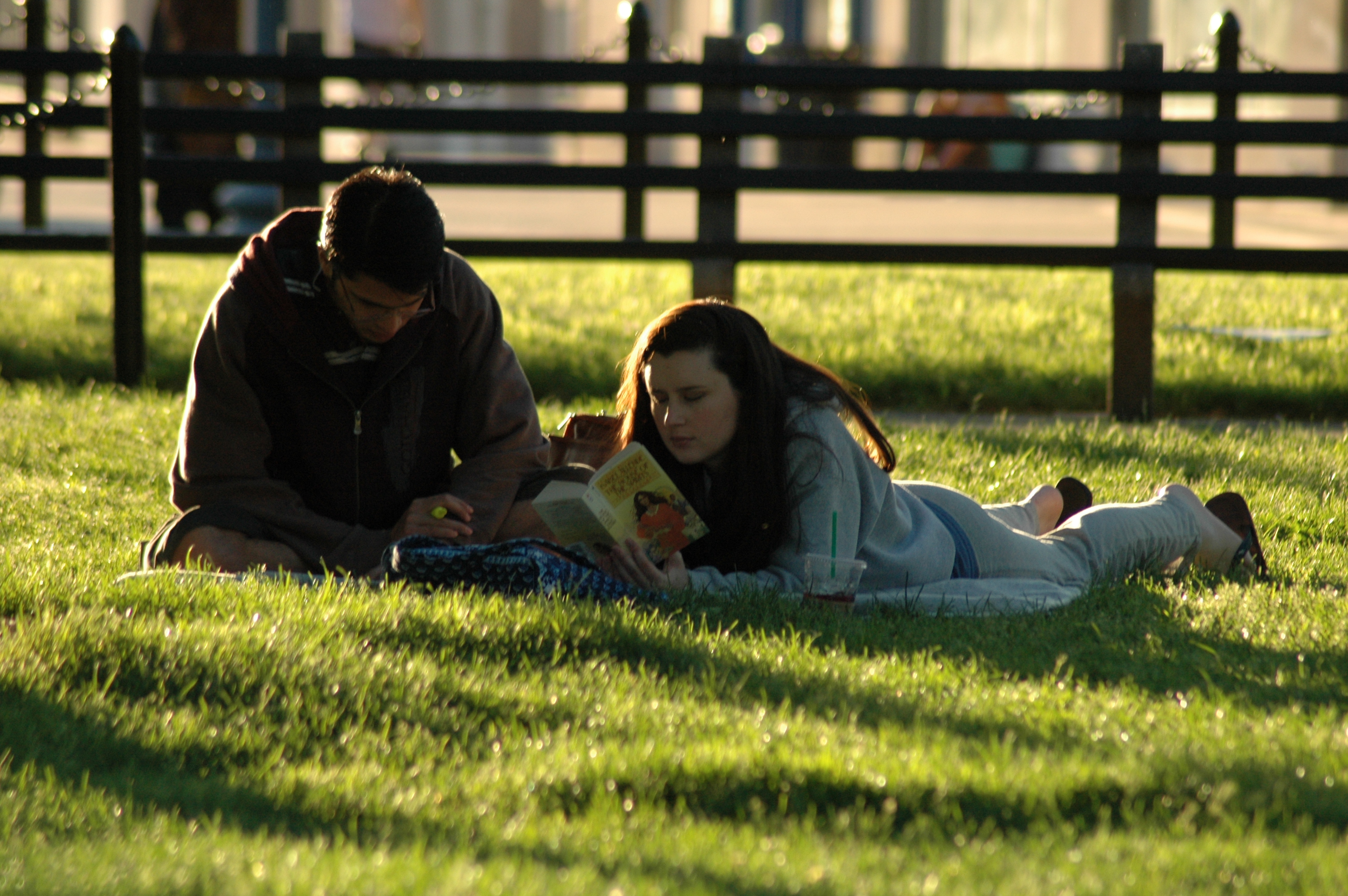 Study in park